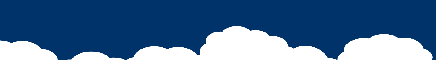 Dark Blue Bottom Divider